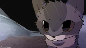 Y2mate.mx-chipi chipi chapa chapa (1)