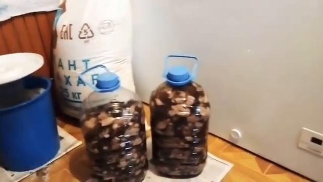 НАСОЛИЛА ГРИБОЧКОВ. ВАЛУИ. ХУТОРОК. ДЕРЕВКА смотреть онлайн