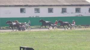 29.06.2024г.Абаканский Ипподром Приз Большой Хакасский Дерби лошади 4-х лет рысистых пород  2400м