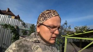 Забой индюков