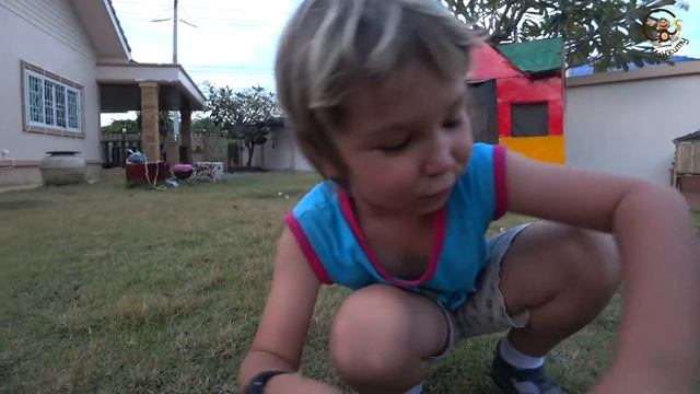 Дети и машина. Едем покупать щенка для Милан. МанкиТайм смотреть онлайн