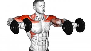 Объем плеч: 5 лучших упражнений для развития средней дельты