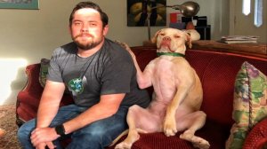 Подборка смешных видео и приколов 154? Лучшие ПРИКОЛЫ 2023