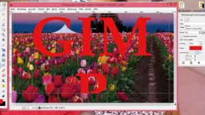 Gimp -Text in Bild mit Gimp  einfügen und bearbeiten