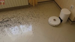 На что способен РОБОТ-ПЫЛЕСОС в 2021 году! XIAOMI Lydsto R1 ОБЗОР и ДИКИЙ ТЕСТ!