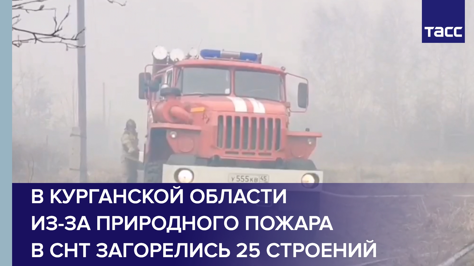 В Курганской области из-за природного пожара в СНТ загорелись 25 строений