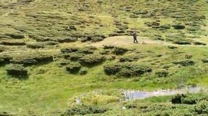 Там, де гори й полонини