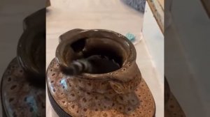 Фокус покус!