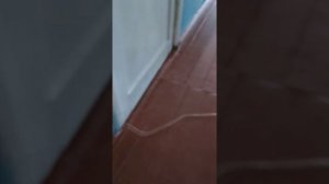 Какие опасности может таить в себе школьный туалет?