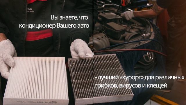 Мир Масел смотреть онлайн