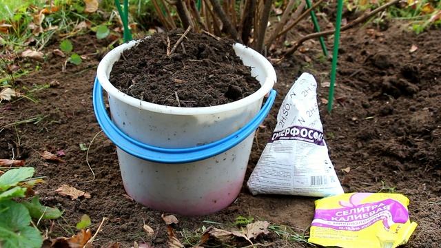 Когда удобрения бывают вредны растениям и нашему здоровью смотреть онлайн