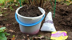 Когда удобрения бывают вредны растениям и нашему здоровью