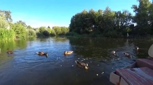 Вечер на даче