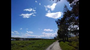 В чем смысл жизни. Не знаю для чего жить и что делать. Потерял смысл жизни.