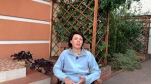 Крупнолистная гортензия. Выращивание на юге. Посадка. Хлороз.Обрезка.  Подготовка к зиме гортензии.