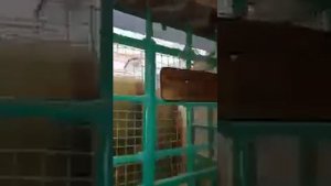 Посмотрите на могилы Пророка Ибрагима, Пророка Иакова и Пророка Иосифа в первый раз кликбейт