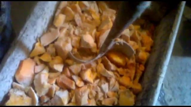 Кормление свиней чем и как кормить