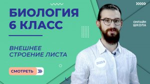 Внешнее строение листа. Урок 6. Биология 6 класс