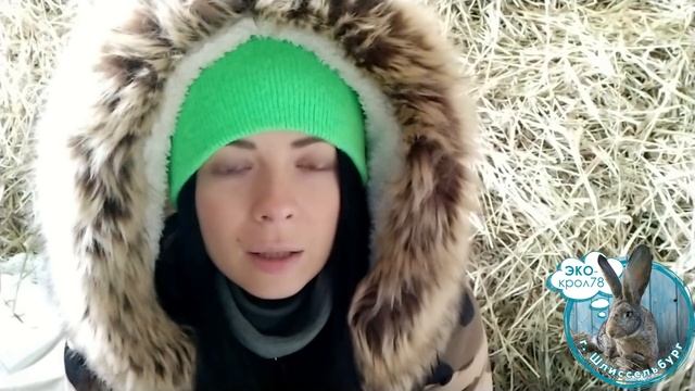 Взвешивание кроликов/сколько весят кролики великаны/что делать, если корм пыльный? смотреть онлайн