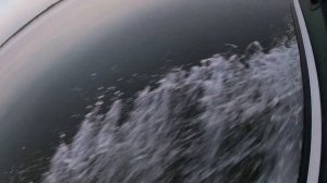 ЛОДКА  АКВА 290 СКК  НА моторе  TOHATSU 8