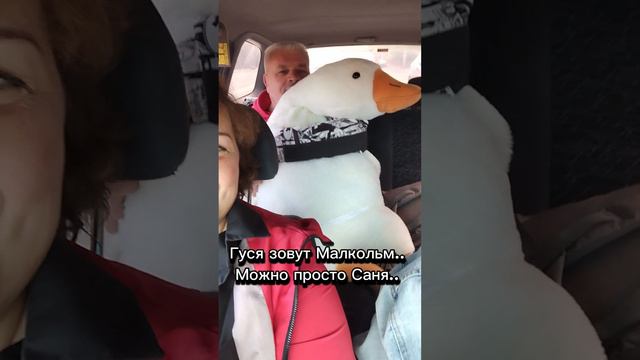 Тест-драйв нового сабвуфера и гусь Малкольм.mp4