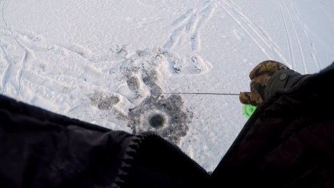 Ловля окуня на блесну зимой. Убийца окуня!!!