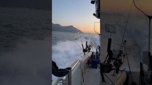 Рыбалка на Средиземном море. Белек - Анталья, Турция. Амберджек (Большая Сериола) 12 кг.