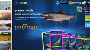 Гроза Форели Лакация Колорадо Серия поединков!!!fishing Clash