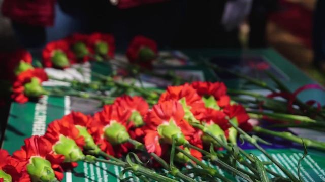Мемориальные доски героям СВО