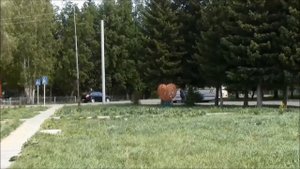 Зональное Алтайского края