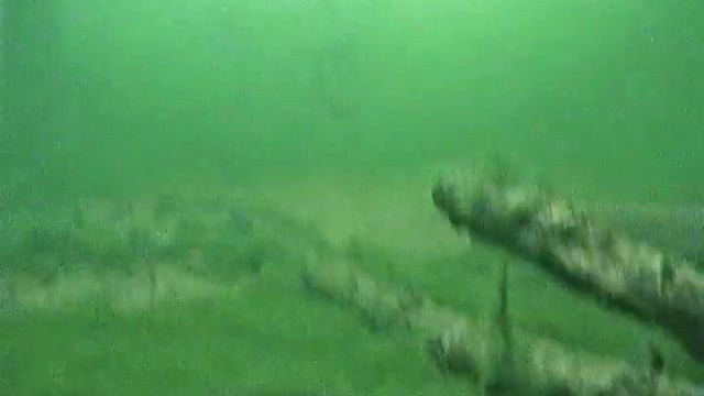 треустан , рыбы нет , подлёдная съёмка , подводная камера . смотреть онлайн