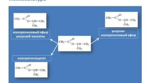 Химия. Сложные эфиры