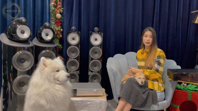 樂府音響【最新Audiolab 9000A & Audiolab 9000CDT】超越期待！物超所值的音響系統！@allegroltdtw ·CC字幕