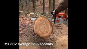 Stihl Ms 462 r c-m vs Stihl Ms 362 r c-m