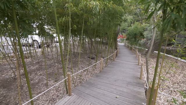 4K・Прогулка по Омии, Сайтама смотреть онлайн