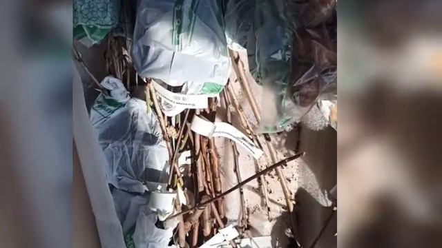 Посылка от bekker.kz смотреть онлайн