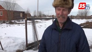 Выбор места под теплицу