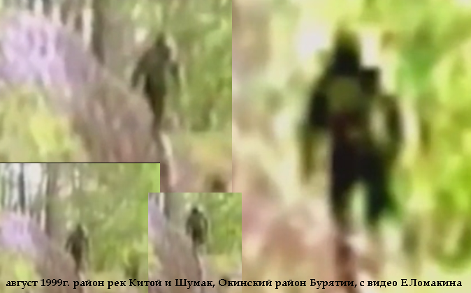 "Снежный человек" в Окинском районе Бурятии (видео Е.Ломакина)