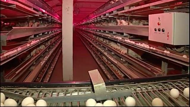 Презентация Воронежской области