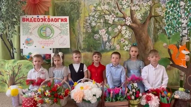 Видеоэкология