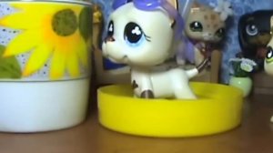 Lps Правда или действие? 2 выпуск /Truth or Action LPS 2