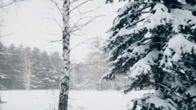 #finiko_конкурс_отзыв Морозко feat Finiko смотреть онлайн