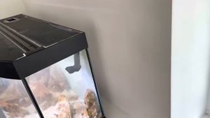 Ну БИОДИЗАЙН! Не разочаровали... Ставим светильник LED SCAPE MAXI COLOR 6800K - это бомба!