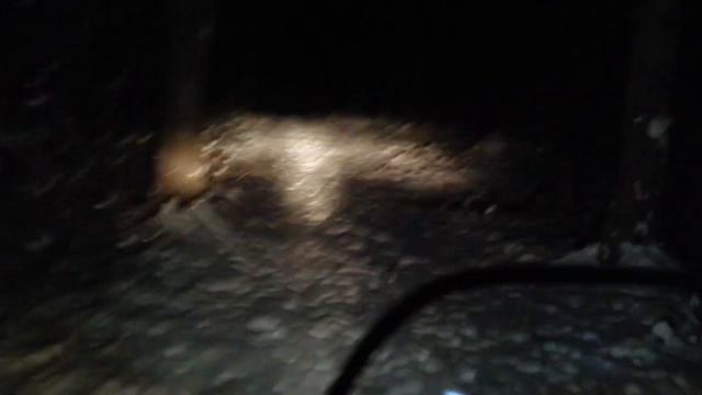 Открытие сезона 2021-2022 смотреть онлайн