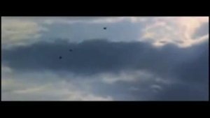 Чайка по имени Дж. Ливингстон - Френки Шоу