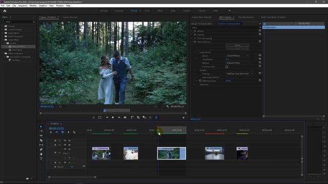Быстрая СТАБИЛИЗАЦИЯ видео в Adobe Premiere Pro 2020