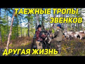 Таежные тропы эвенков. Другая жизнь.