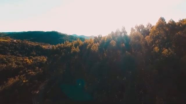 К чему снятся ПОХОРОНЫ или видеть во сне ПОХОРОНЫ | Толкование снов | Сонник Sk1.online смотреть онлайн