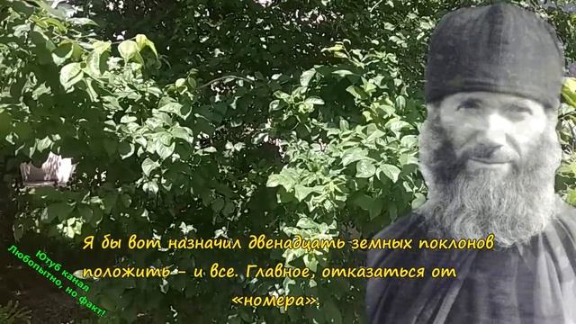 Пророчество батюшка Гурий. Всех верующих увезут