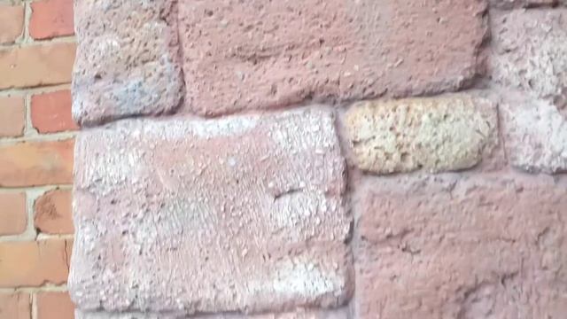 Инжир в зиму.. , цоколь. 25.11.22 г.